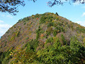 P1000113_thumb.jpg