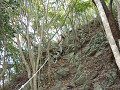 P1000117_thumb.jpg