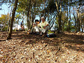 P1000122_thumb.jpg