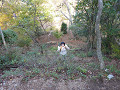 P1000126_thumb.jpg