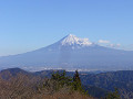 P1070891_thumb.jpg