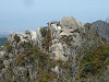 p1000056_thumb.jpg