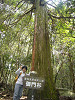 p1090038_thumb.jpg