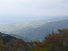 p1090042_thumb.jpg