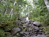 p1000029_thumb.jpg