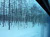 p1000125_thumb.jpg