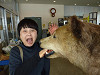 p1000131_thumb.jpg