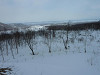 p1000137_thumb.jpg