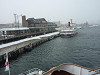 p1000356_thumb.jpg