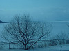 p1000388_thumb.jpg