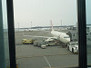 p1000542_thumb.jpg