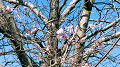 img20211211104303_thumb.jpg