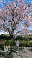img20220404105341_thumb.jpg
