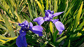 img20220508112032_thumb.jpg
