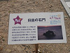 p1230684_thumb.jpg