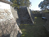 p1290792_thumb.jpg