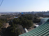 p1290809_thumb.jpg