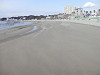 p1300988_thumb.jpg