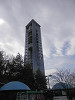 p2051172_thumb.jpg