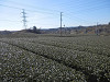 p2200048_thumb.jpg