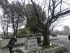 p3010007_thumb.jpg