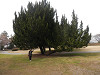 p3010070_thumb.jpg