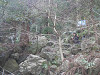 p3010082_thumb.jpg