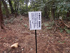 p3070032_thumb.jpg
