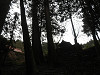 p3070041_thumb.jpg