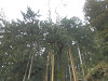 p3070051_thumb.jpg