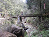 p3080022_thumb.jpg