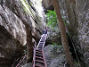 p3080027_thumb.jpg