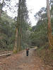 p3080071_thumb.jpg
