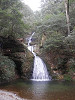 p3080076_thumb.jpg