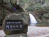 p3080082_thumb.jpg