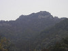 p3080087_thumb.jpg