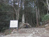 p3080093_thumb.jpg
