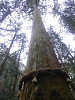 p3080102_thumb.jpg