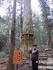 p3080103_thumb.jpg