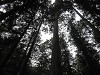 p3080104_thumb.jpg