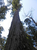 p3140094_thumb.jpg