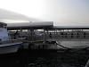 p3150158_thumb.jpg