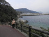 p3150184_thumb.jpg