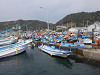 p3150204_thumb.jpg