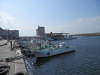 p3150290_thumb.jpg
