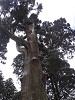 p3260017_thumb.jpg