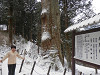 p3260018_thumb.jpg