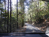p3270140_thumb.jpg