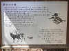 p3290028_thumb.jpg