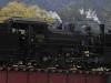 p3290065_thumb.jpg